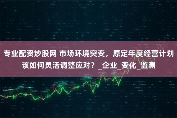 专业配资炒股网 市场环境突变，原定年度经营计划该如何灵活调整应对？_企业_变化_监测