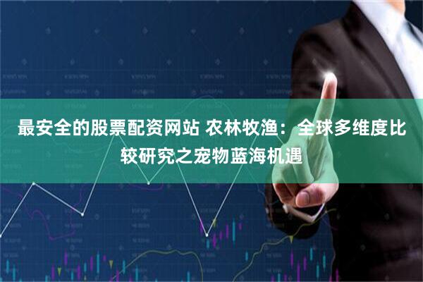 最安全的股票配资网站 农林牧渔：全球多维度比较研究之宠物蓝海机遇
