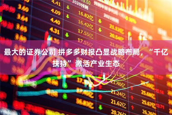 最大的证券公司 拼多多财报凸显战略布局，“千亿扶持” 激活产业生态